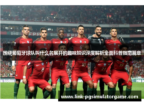 围绕葡萄牙球队叫什么名展开的趣味知识深度解析全面科普指南篇章