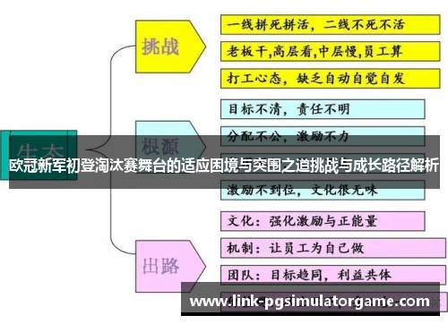 欧冠新军初登淘汰赛舞台的适应困境与突围之道挑战与成长路径解析