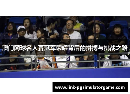 澳门网球名人赛冠军荣耀背后的拼搏与挑战之路