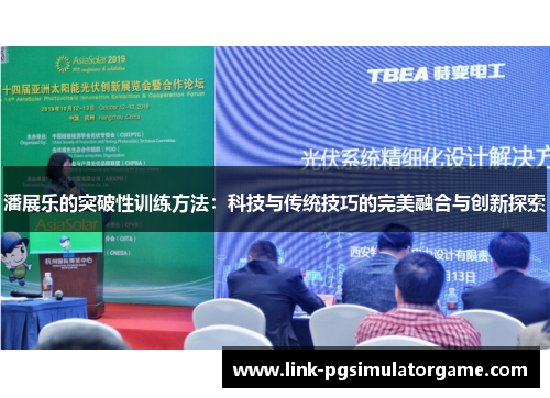 潘展乐的突破性训练方法：科技与传统技巧的完美融合与创新探索