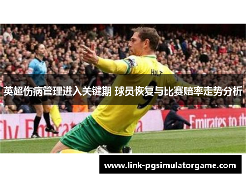 英超伤病管理进入关键期 球员恢复与比赛赔率走势分析 英超伤病管理进入关键期 球员恢复与比赛赔率走势分析